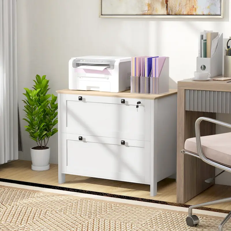 HOMCOM Lateral File Cabinet with 2 Drawers for Home Office, Filing Cabinet with Lock, Adjustable Hanging Bar for Letter, A4