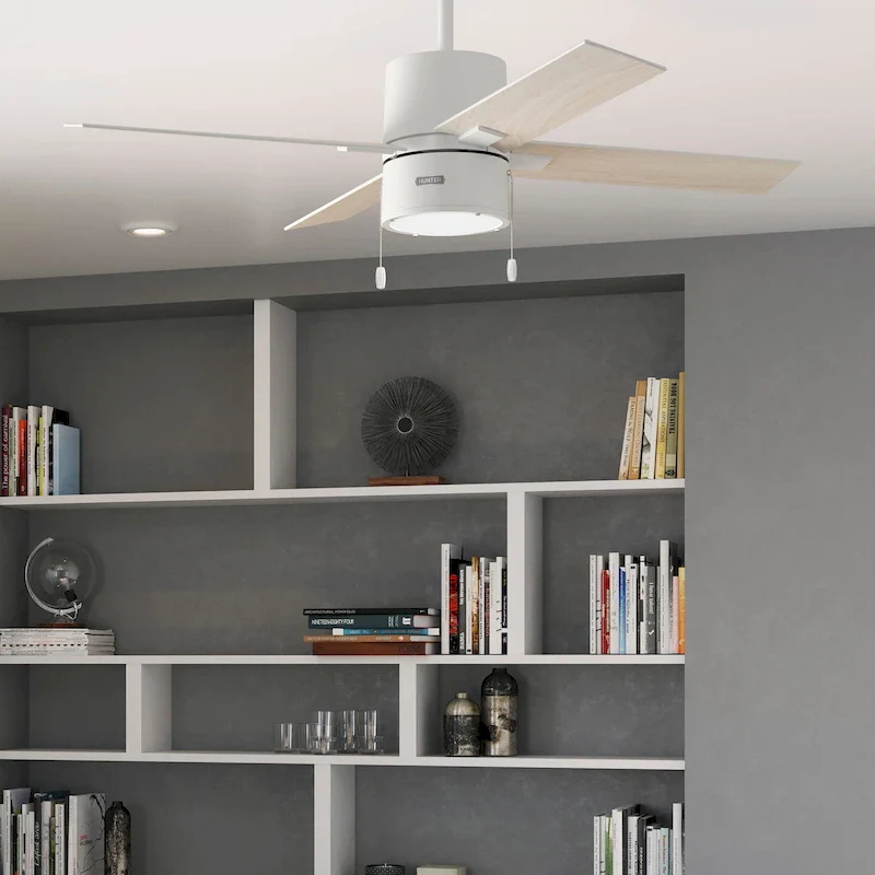 Hunter 52  Beck Ceiling Fan with LED Light Kit and Pull Chain - Transitional, Modern, Farmhouse