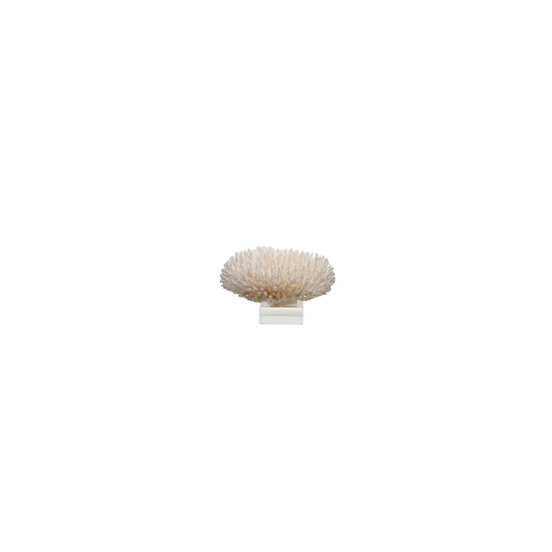 Table Coral 15 - 16 Inch On Acrylic Base