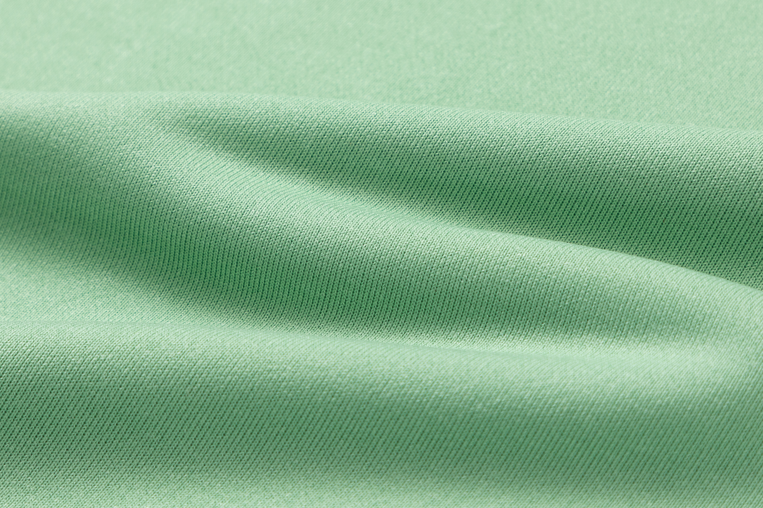 Men's Basic Light green Sweatshirt